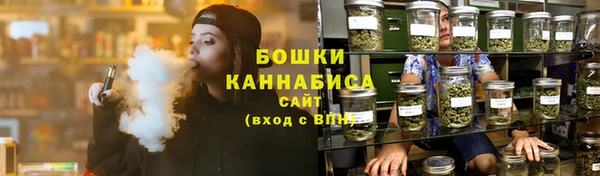 ГАЛЛЮЦИНОГЕННЫЕ ГРИБЫ Баксан