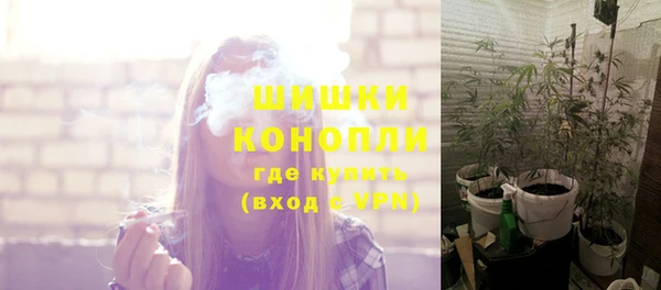 ГАЛЛЮЦИНОГЕННЫЕ ГРИБЫ Баксан