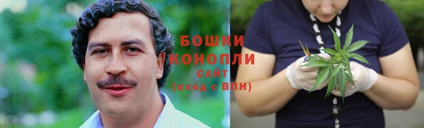 ГАЛЛЮЦИНОГЕННЫЕ ГРИБЫ Баксан