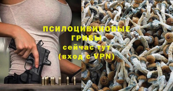 гидра Балахна