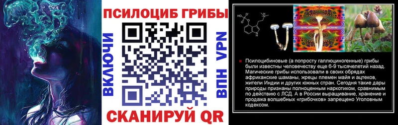 где купить наркоту  Верхняя Пышма  Галлюциногенные грибы мицелий 